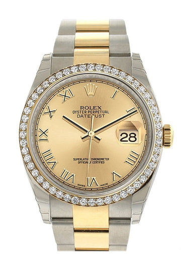 Rolex Datejust 36 Champagne Roman Dial 18k White Gold Diamond Bezel Ladies Watch 116243